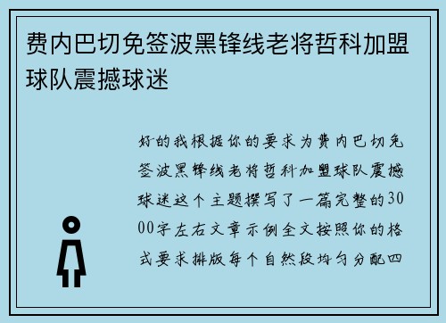 费内巴切免签波黑锋线老将哲科加盟球队震撼球迷 费内巴切免签波黑锋线老将哲科加盟球队震撼球迷
